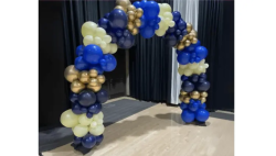 Organic20Arch2 1742175769 big 1769203012 Organic Arch