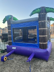 IMG 1021 1738887891 Aloha Happy Bounce