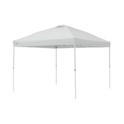 10' X 10' Canopy