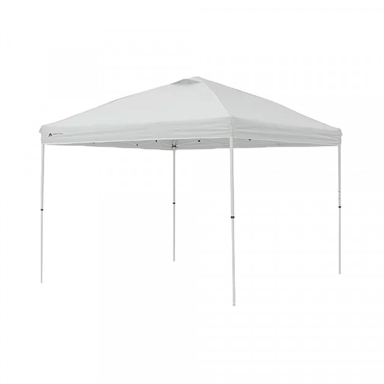 10' X 10' Canopy