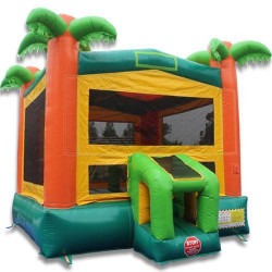 Paradise Palm Bounce House