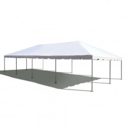 20x50 Frame Tent White Top