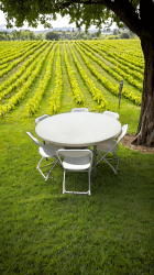 Adult Plastic folding chair