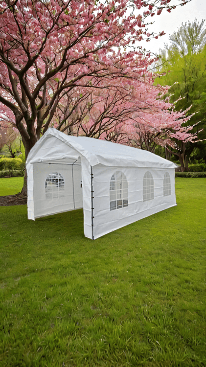 10x20  Canopy