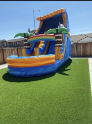 IMG 4948 1773668400 16' Rainbow Dolphin Slide