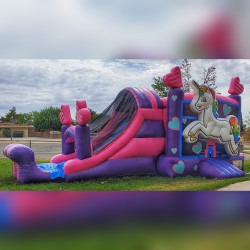Unicorn Combo  27' x 17' x 14' (Wet or Dry)