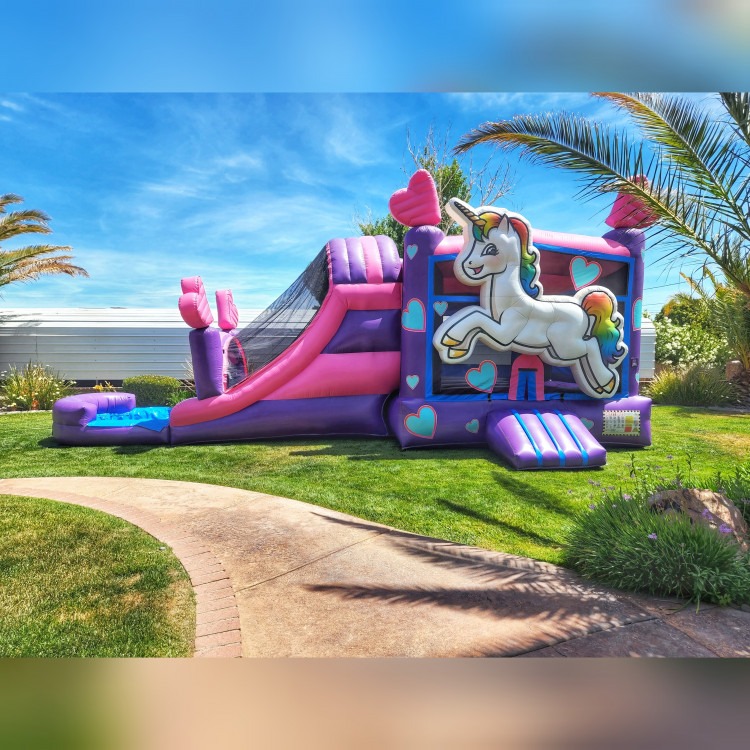 Unicorn Combo  27' x 17' x 14' (Wet or Dry)