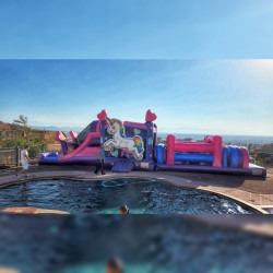 Unicorn Obstacle Course 55' x 17' x 14' (Wet or Dry)
