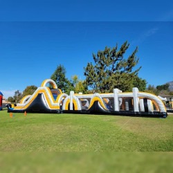 Golden Obstacle Course 69L 13W 18H (Wet or Dry)