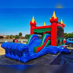 EZ Castle 22L 13W 14H (Wet or Dry)