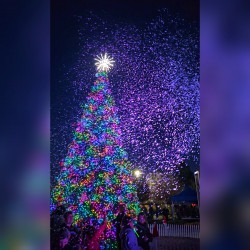 Artificial Snow