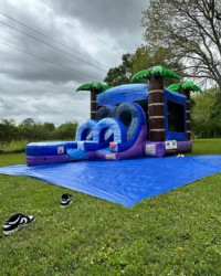 Blue Tropical Combo(wet or dry)