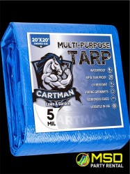 Heavy duty tarp 20x20