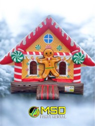 Ginger Holiday Bounce house