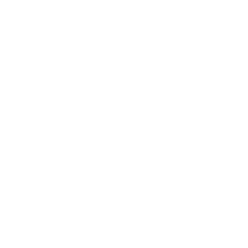 Clean Icon White Home