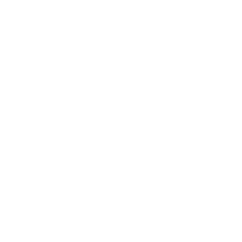 Festival Icon White Home