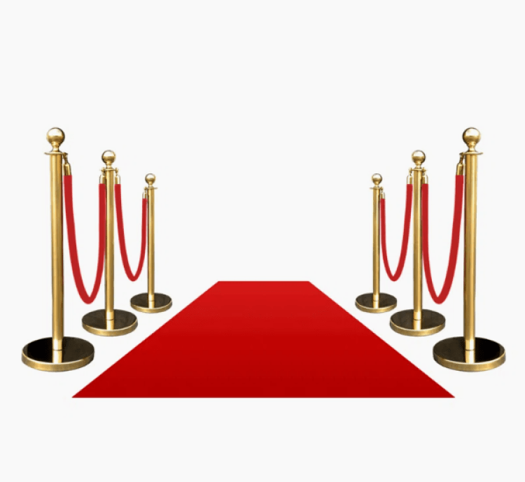 Crowd Control & Stanchions