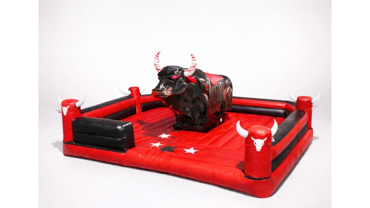 Mechanical Bulls