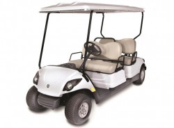 4 Seater Golf Cart