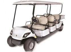 6 Seater Golf Cart