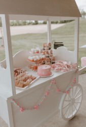 decorated20dessert20cart 1715974446 Dessert/Bar/Candy Cart