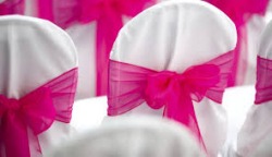 Click to select - Pink Bow