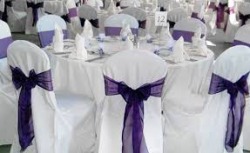 Click to select - Purple Bow