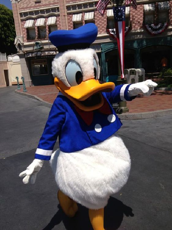 Donald Duck