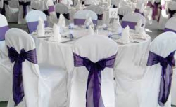 Click to select - Purple Bow