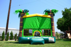 Aloha Bounce House