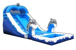 Dolphin Slide