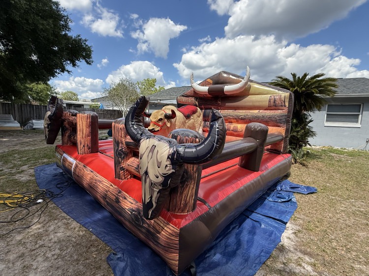 MECHANICAL BULL RIDE MECHANICAL BULL RIDE