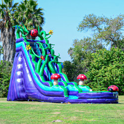 20ft Enchanted slide