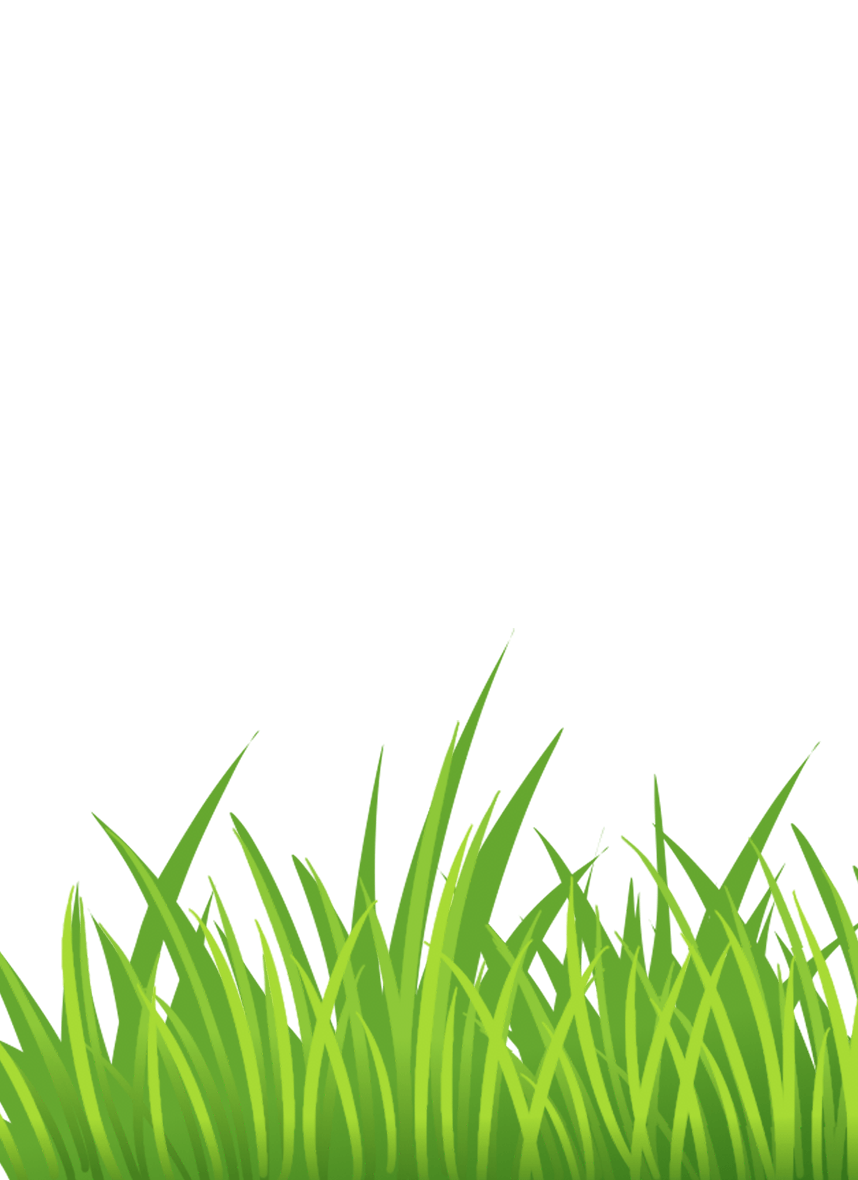 Pngtree—green-grass_5643178-e1645455454538.png