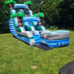 16ft Palm Tree Slide