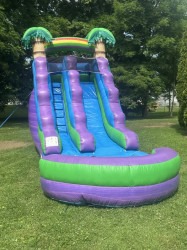 15 ft. Tropical Waterslide