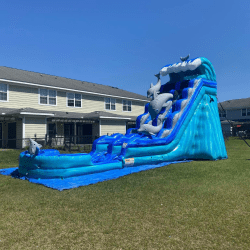 10 1746585577 Dolphin Waterslide - 20 ft
