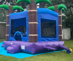 2 1736818899 Enchanted Forest Midsize Combo Bounce House W/Slide
