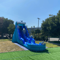 2 1746585576 Dolphin Waterslide - 20 ft