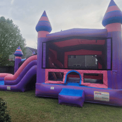 3 1749146581 XL Pink and Purple Princess Palace Dual Lane Combo - Wet/Dry