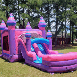 4 1749146581 XL Pink and Purple Princess Palace Dual Lane Combo - Wet/Dry