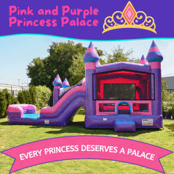 XL Pink and Purple Princess Palace Dual Lane Combo - Wet/Dry