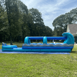 dolphin20slip20n20slide201 1751993671 Dolphin Slip n Slide