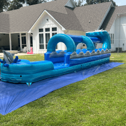 dolphin20slip20n20slide202 1751993672 Dolphin Slip n Slide