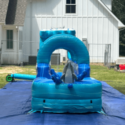 dolphin20slip20n20slide203 1751993672 Dolphin Slip n Slide