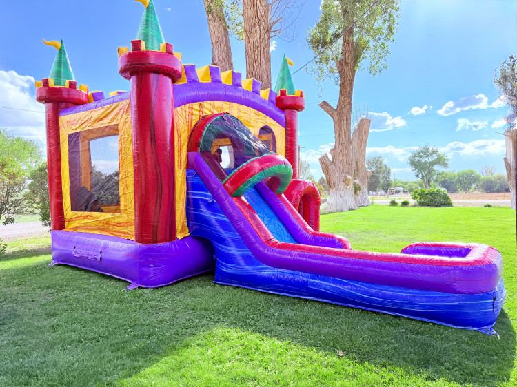 4in1 castle combo wet/dry