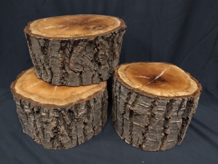 Wooden Log Stumps