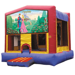 Disney Sleeping Beauty Bounce House