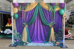 IMG 1485 1732917143 1 Mardi Gras Backdrop