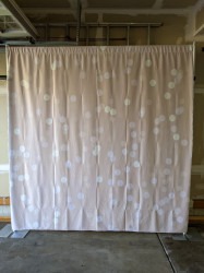 PXL 20221101 191408316 1732917297 1 Champaign and White Dot Backdrop